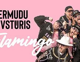 Bermudu Divstūris | Flamingo